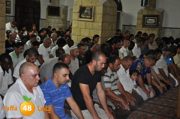 trawe7 7san bek 715 (35).JPG